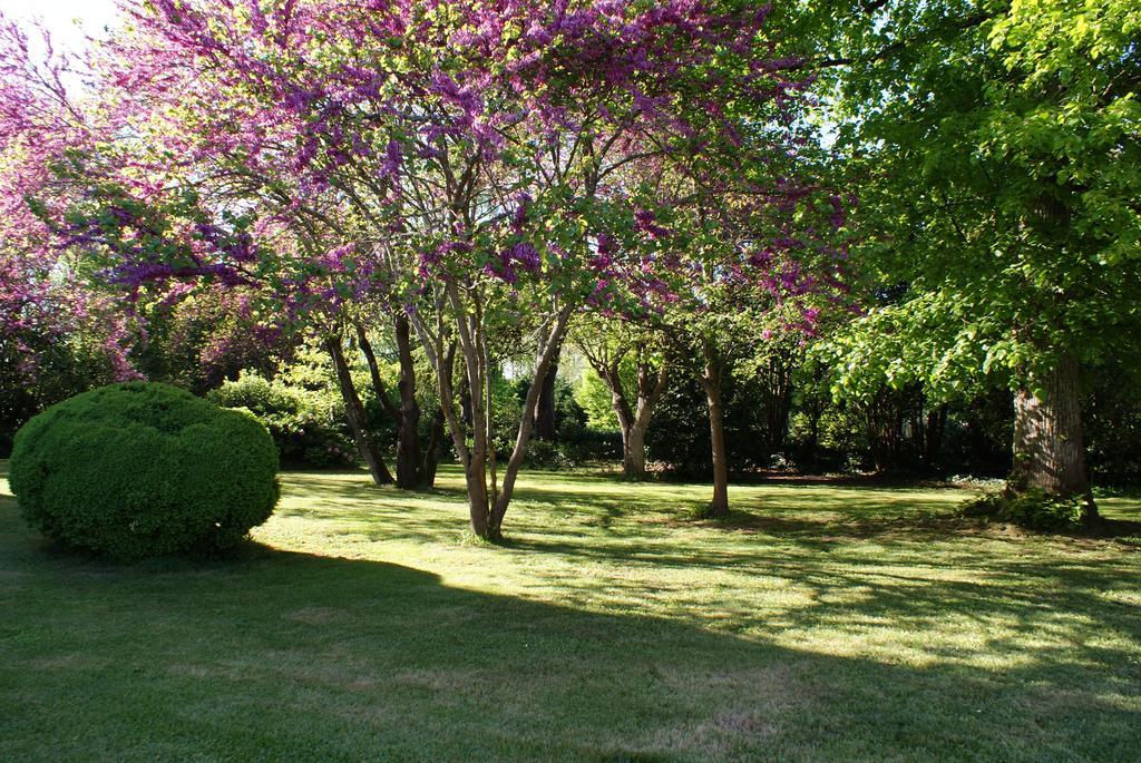 Chateau De Grenier Bed and Breakfast Saint-Léger Εξωτερικό φωτογραφία